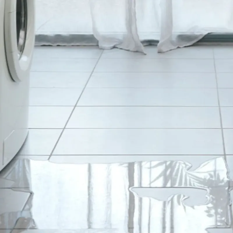 Appliance Leak Cleanup in Rockdale County, GA
