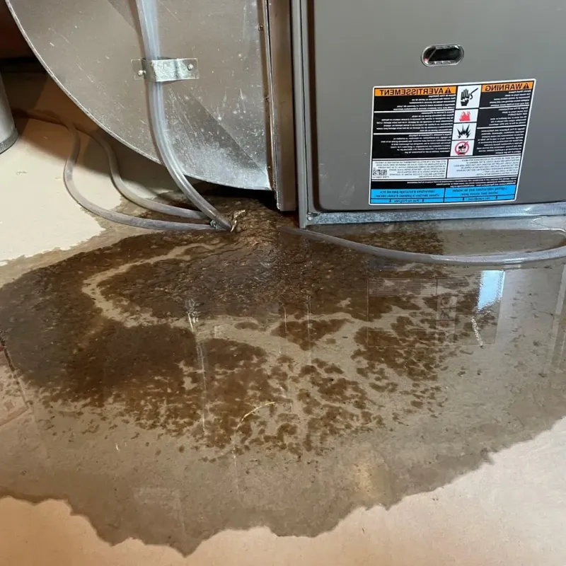 Pipe Burst and Leak Restoration in Rockdale County, GA