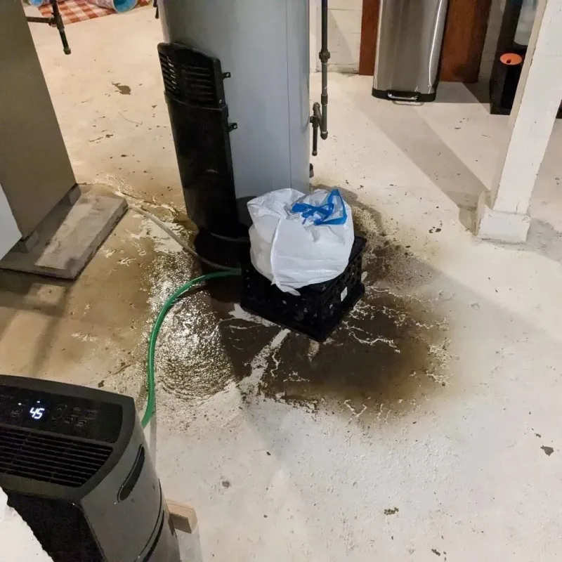 Sewage Backup Cleanup Service in Rockdale County, GA
